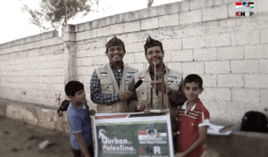 12088067 544550209027289 7818864107291348469 n