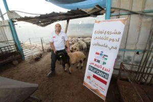 Whatsapp image 2018 07 04 at 10.37.24