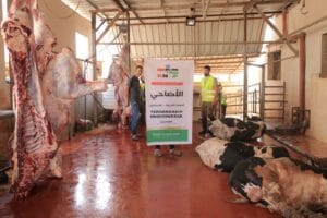 Whatsapp image 2018 08 23 at 10.06.44 (1)