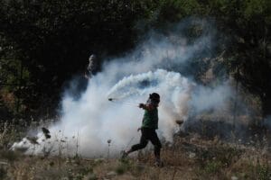 20210516 2 48313264 65221286