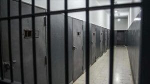 Thumbs b c 1da8ffef2b74f3253c0fc43eb05d4c7a