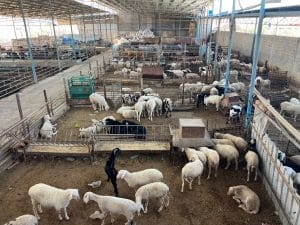 Photo 20 06 2023 11 48 52 am scaled