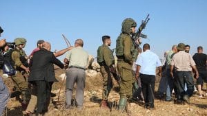 Thumbs b c ecea7ff7ebc560e431dad1a406133a69