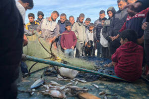 Fishermen Profile AJJR