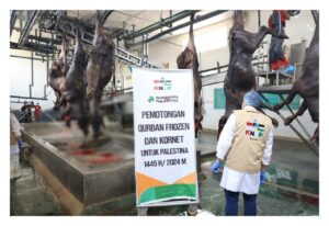 WhatsApp Image 2024 06 24 at 17.53.50 2a3cd23c