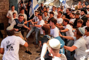 FlagMarch Journalist VIDEO