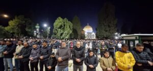 WhatsApp Image 2025 03 05 at 14.17.56