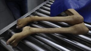 Thumbs b c 8a448d82bd45a106d2fa32ff0efd913b