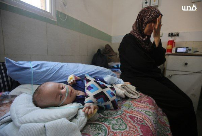 Famine gaza qnn